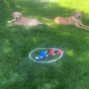 Meet your Posher, Vickie